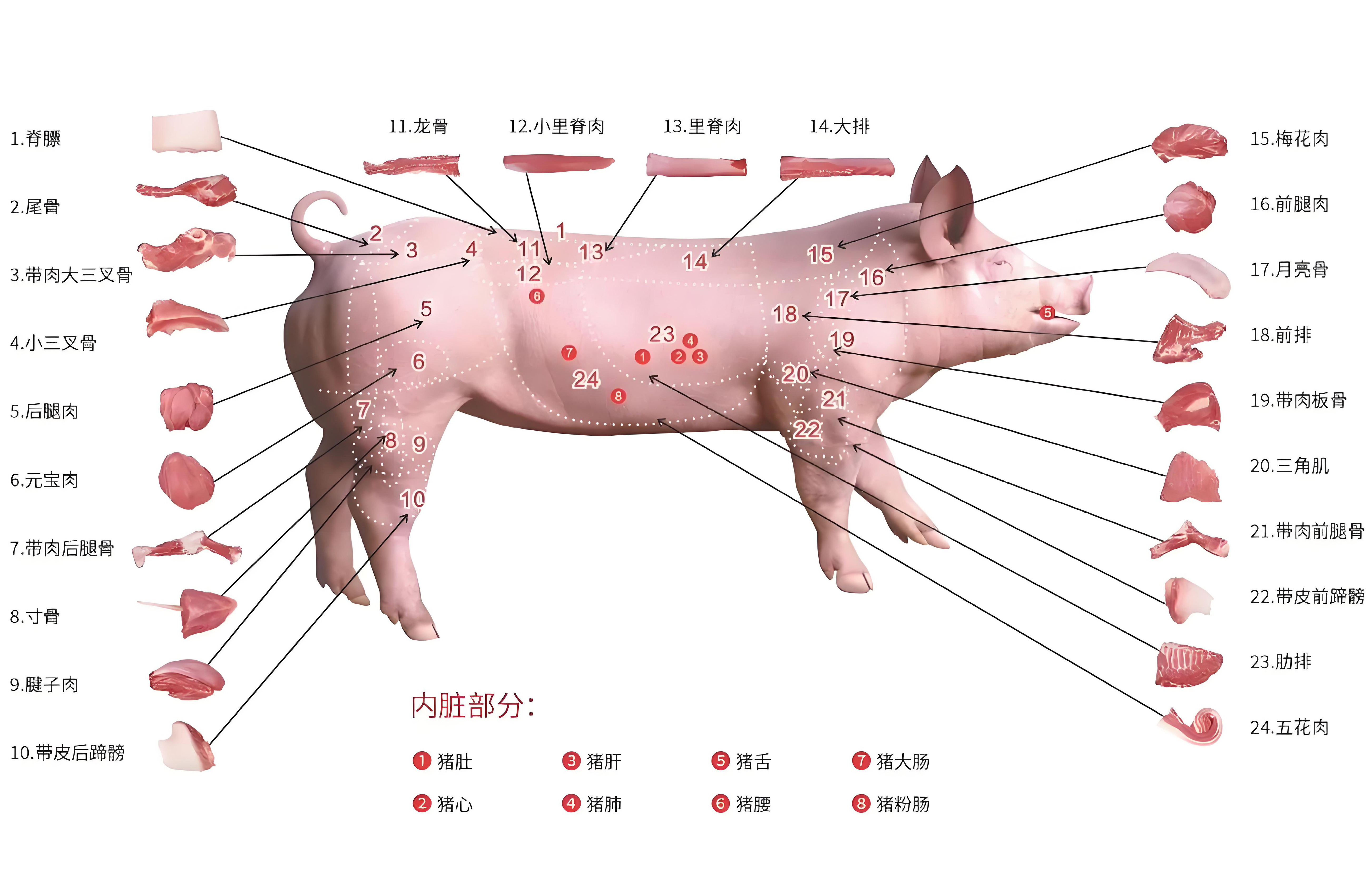 Meat Cutting Complete Factory Production Line