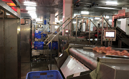 Unveiling the Food Sorting Machine: How Smart Recognition Technology Transforms the Food Production Process