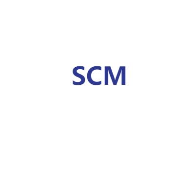 Supply Chain Management (SCM) System